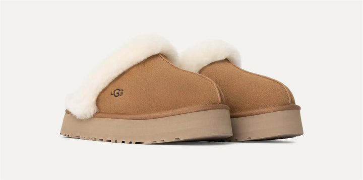 UGG Disquette