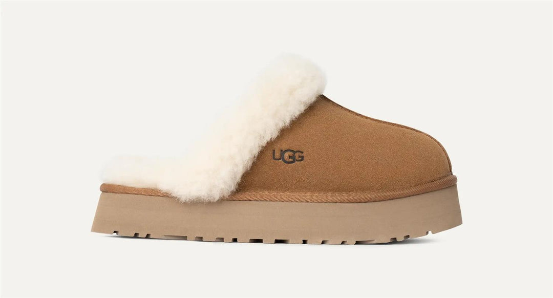 UGG Disquette