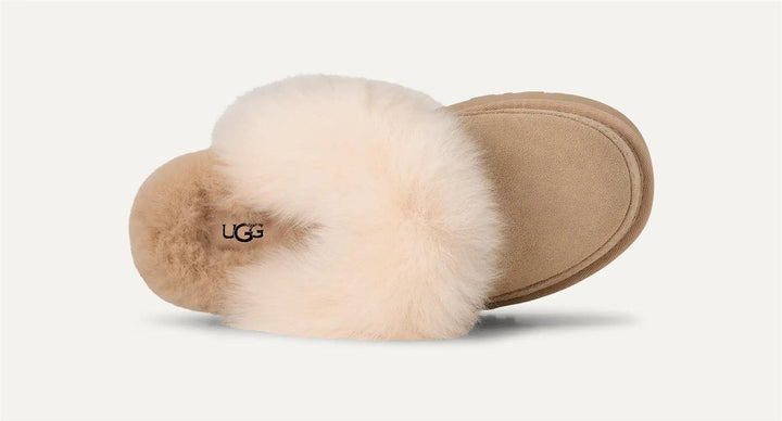 UGG Disquette chalet