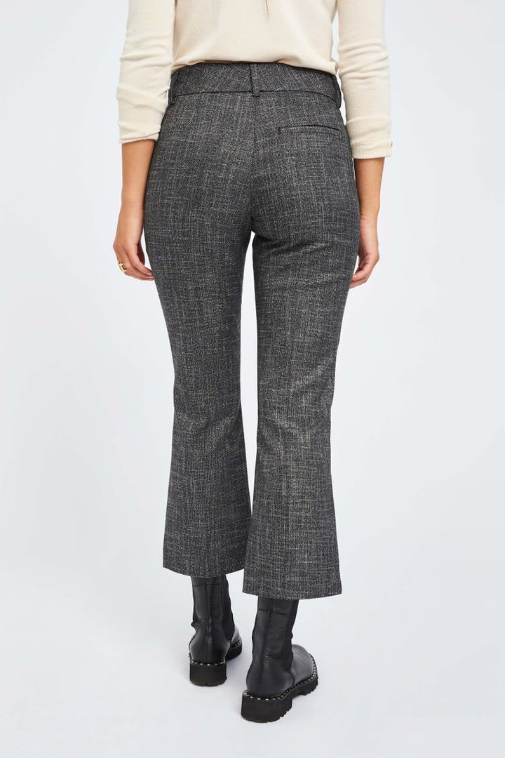 Five Units CLARA 738 CROP